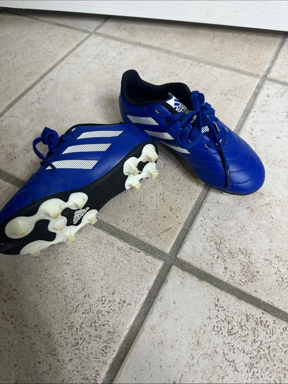 adidas bright royal